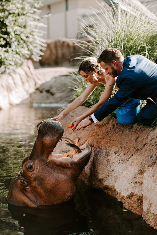 Feeding Vision, Topeka Zoo's hippo