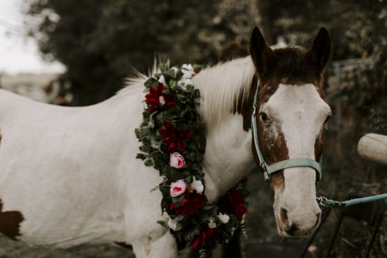 Horse stands with wedding flowers adorning its neck